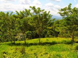  Land for sale in Pereira, Risaralda, Pereira