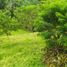  Land for sale in Pereira, Risaralda, Pereira