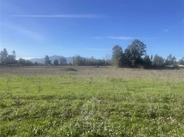  Land for sale in Rio Claro, Talca, Rio Claro