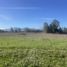  Land for sale in Rio Claro, Maule, Rio Claro, Talca