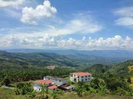  Land for sale in Palestina, Caldas, Palestina