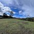 Terrain à vendre à Rionegro, Antioquia, Rionegro