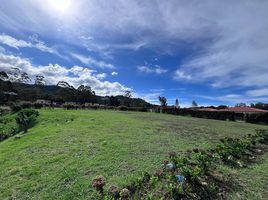 Terrain à vendre à Rionegro, Antioquia, Rionegro