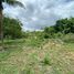  Land for sale in Berriozabal, Chiapas, Berriozabal