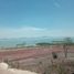  Grundstück zu verkaufen in Lago De Chapala, Jalisco, Lago De Chapala