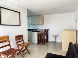 2 Bedroom Apartment for rent in Bare Foot Park (Parque de los Pies Descalzos), Medellin, Medellin