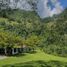  Terrain for sale in Fredonia, Antioquia, Fredonia