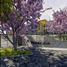 2 Bedroom Apartment for sale in Chapala, Jalisco, Chapala