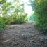  Land for sale in Sudzal, Yucatan, Sudzal