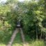  Land for sale in Sudzal, Yucatan, Sudzal