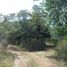  Land for sale in Sudzal, Yucatan, Sudzal
