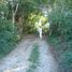  Land for sale in Sudzal, Yucatan, Sudzal