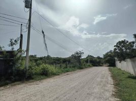  Grundstück zu verkaufen in Othon P Blanco, Quintana Roo, Othon P Blanco