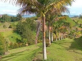  Terreno (Parcela) en venta en El Carmen De Viboral, Antioquia, El Carmen De Viboral