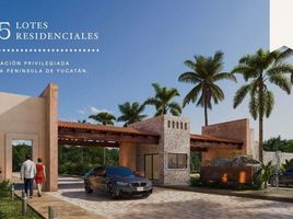  Land for sale in Merida, Yucatan, Merida, Yucatan