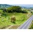  Land for sale in Pereira, Risaralda, Pereira