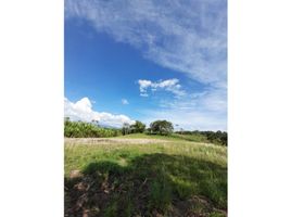  Terreno (Parcela) en venta en Dosquebradas, Risaralda, Dosquebradas