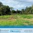  Land for sale in Misiones, Capital, Misiones