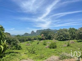  Grundstück zu verkaufen in Tepoztlan, Morelos, Tepoztlan, Morelos