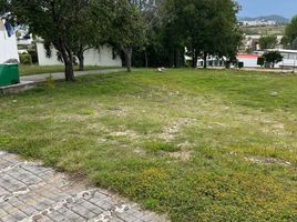  Land for sale in Santa Isabel Cholula, Puebla, Santa Isabel Cholula