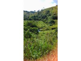  Terrain for sale in San Carlos, Antioquia, San Carlos