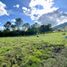  Grundstück zu verkaufen in Rionegro, Antioquia, Rionegro, Antioquia