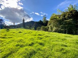  Grundstück zu verkaufen in Rionegro, Antioquia, Rionegro, Antioquia