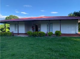 5 Bedroom Villa for rent in Colombia, La Tebaida, Quindio, Colombia