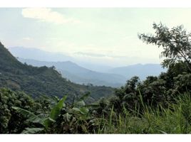  Land for sale in La Mesa, Cundinamarca, La Mesa