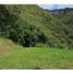  Land for sale in La Mesa, Cundinamarca, La Mesa