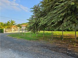  Terreno (Parcela) en venta en Panamá Oeste, Nueva Gorgona, Chame, Panamá Oeste