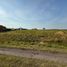  Land for sale in Uruguay Entre Rios, Uruguay
