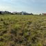  Land for sale in Uruguay Entre Rios, Uruguay