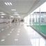 24,447 m² Office for rent in Coyoacan, Ciudad de México, Coyoacan