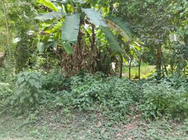  Land for sale in Bolivar, Turbaco, Bolivar