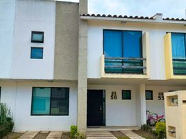 Maison 3 chambre à vendre à Toluca, Mexico, Toluca