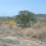  Land for sale in Santa Marta, Magdalena, Santa Marta