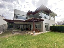 3 Bedroom House for sale in Tumbaco, Pichincha, Tumbaco