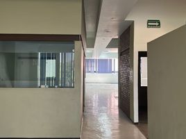 4,844 Sqft Office for rent in Miguel Hidalgo, Mexico City, Miguel Hidalgo