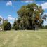  Land for sale in Brandsen, Buenos Aires, Brandsen