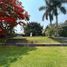 3 Bedroom House for sale in Tlayacapan, Morelos, Tlayacapan