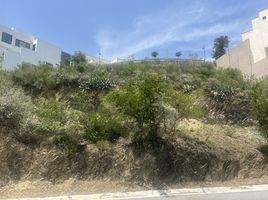  Terrain for sale in Monterrey, Nuevo Leon, Monterrey