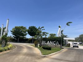  Terreno (Parcela) en venta en Merida, Yucatán, Merida