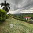  Land for sale in Caldas, Neira, Caldas