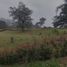 Terrain à vendre à Rionegro, Antioquia, Rionegro, Antioquia