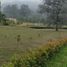 Terrain à vendre à Rionegro, Antioquia, Rionegro, Antioquia