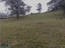 Terrain à vendre à Rionegro, Antioquia, Rionegro, Antioquia
