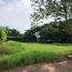  Land for sale in Monteria, Cordoba, Monteria