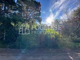  Land for sale in Villa Gesell, Buenos Aires, Villa Gesell