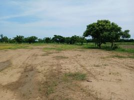  Terreno (Parcela) en alquiler en Cerete, Córdoba, Cerete